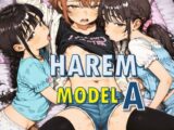 ハーレム モデルA