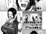S県K市 社会人女子バレーボールサークルの事情12